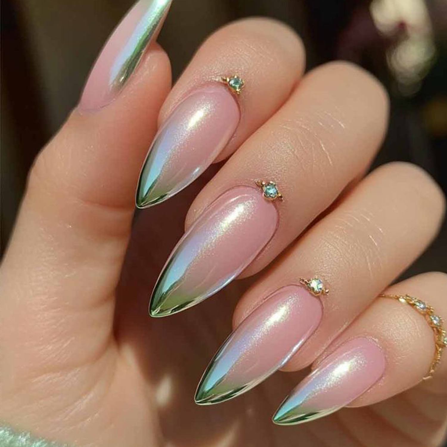 Elegant pedicure treatments at Mango Nail & Spa Tampa FL