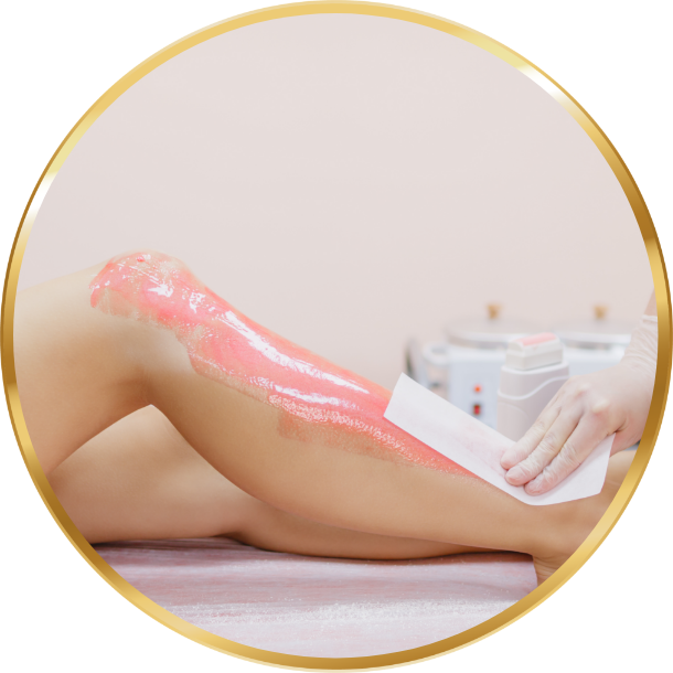 Professional Waxing Services Tampa FL